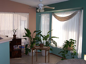 Tucson Homes for Sale